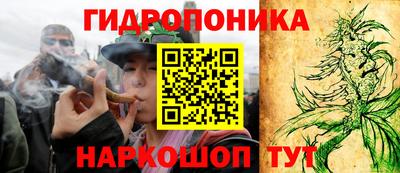 ГАЛЛЮЦИНОГЕННЫЕ ГРИБЫ Дубна