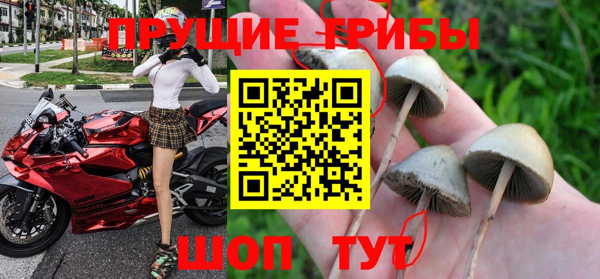 Псилоцибиновые грибы прущие грибы  наркошоп  Мариинск  Вход с VPN 