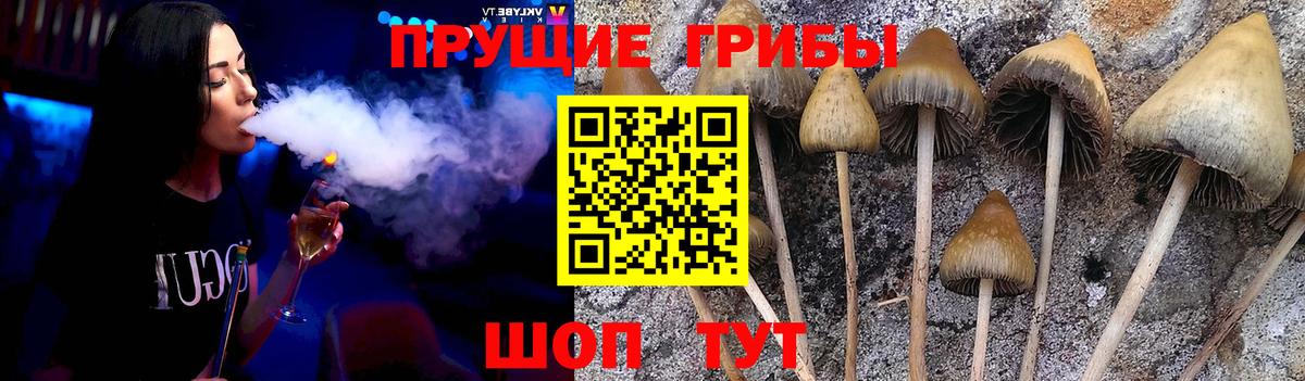 Галлюциногенные грибы MAGIC MUSHROOMS Мариинск